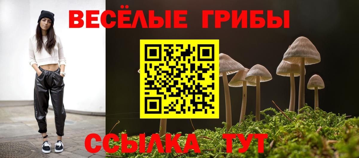 Родники  купить наркотик  Галлюциногенные грибы Psilocybe  Вход с VPN  Псилоцибиновые грибы Psilocybine cubensis 